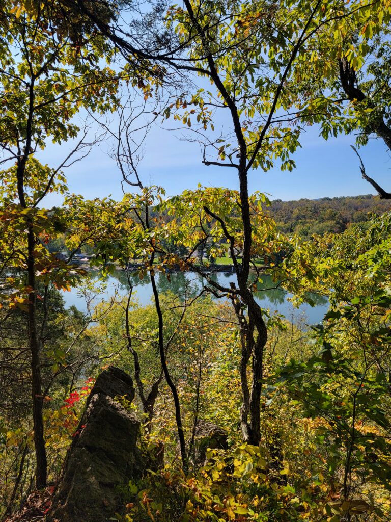 Genuine Family Hospitality from Karen and Tom Grosh π€
We believe the best views are the ones shared with friends. Family Hospitality from Karen and Tom Grosh is what turned this dream of an overlook into a reality. As a small family-owned and operated business, we wanted to create a space where guests at Timber Valley Retreat lodging Clear Spring MD could truly grasp the scale of our 100-acre property. Supporting our small business allows us to continue building unique features like The Sky Bridge Overlook Experience, ensuring that every visitor leaves with a newfound appreciation for the Maryland timber.