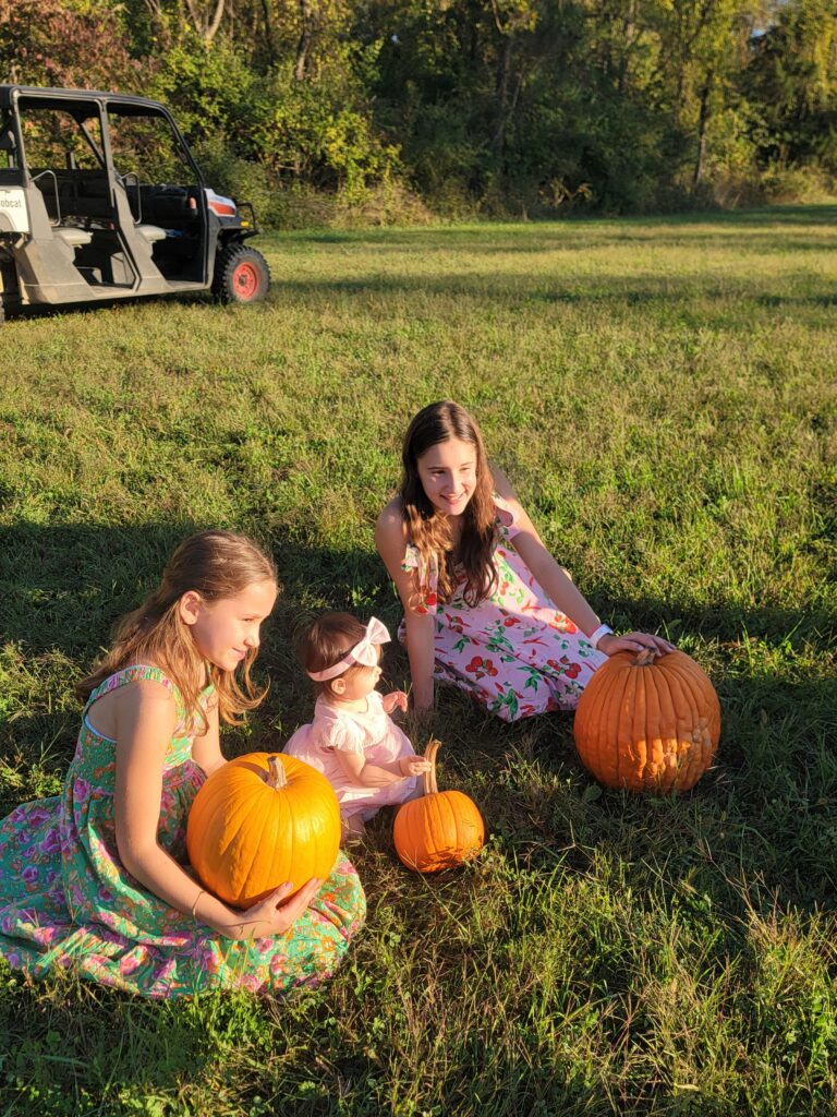 A Golden Wagon Ride Through the Harvest 🚜
One of the most radiant ways to see the changing colors is on our signature Wagon Ride. As we wind through the farm's trails, you'll be surrounded by the sights and scents of fall. The rustling of the drying cornstalks and the vibrant canopy overhead create a nostalgic atmosphere that is perfect for family photos. It is a slow-paced journey that allows you to truly appreciate the scale of the seasonal change across our acreage.