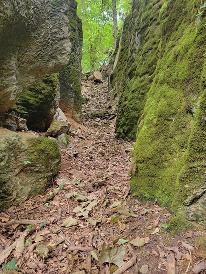 A Glimpse into The Enchanted Forest Private Cove 🌿
What makes it "enchanted"? It’s the way the light filters through the high branches and the absolute silence that settles over the hollow. The Enchanted Forest Private Cove is a destination for those who want to practice forest bathing, photography, or simply sit and listen to the pulse of the earth. Unlike crowded public parks, our Timber Valley Retreat private campgrounds are gated and exclusive, meaning the only footsteps you’ll hear in the cove are your own.