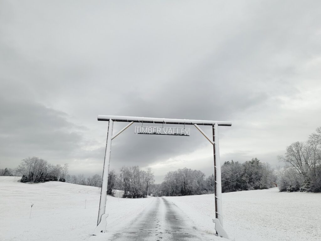 Genuine Family Hospitality from Karen and Tom Grosh 🤝
We believe that memories are the best souvenirs. Family Hospitality from Karen and Tom Grosh means we’ve designed our property to be as photogenic as it is peaceful. As a small family-owned and operated business, we see Our Ranch Style Arch as a symbol of our commitment to your experience. When you participate in our Timber Valley Retreat landmark photography guide, you are helping us share the beauty of our scenic Maryland driveway entrance with the world. Supporting our small business helps us keep the ridge beautiful for your next visit!