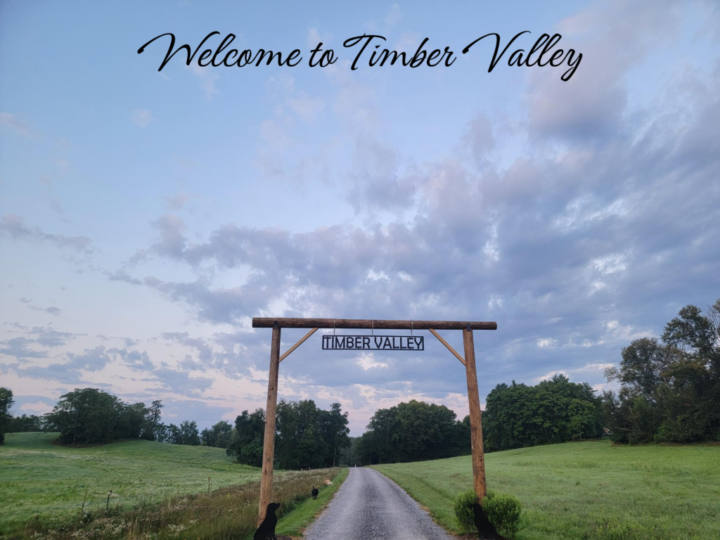 🏗️ 10 Bold Features of Our Ranch Style Arch
First impressions set the tone for every great adventure. We are thrilled to announce that we have officially completed our ranch style driveway entrance project! At the heart of this project is Our Ranch Style Arch, a structure designed to reflect the rustic elegance of our 100-acre ridge. This isn't just a gate; it is a signal that you have arrived at a place where the modern world stops and nature takes over. Welcome to Timber Valley! Cabin rental Clear Spring Maryland has never looked more inviting, and we can’t wait for your family to pass under the arch and begin your retreat.