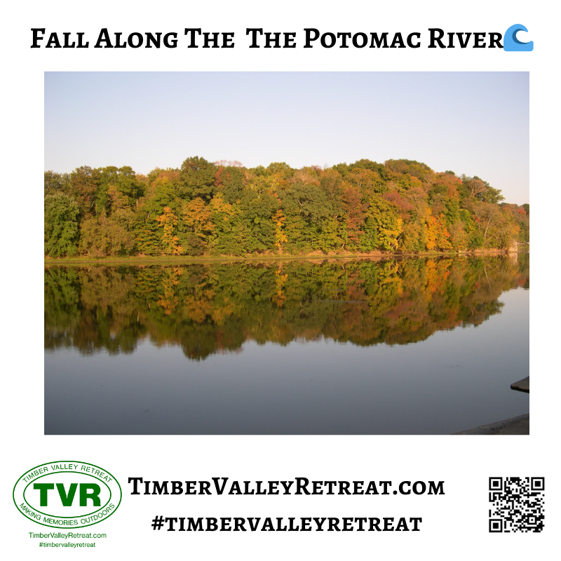 🍂 Experience Fall Days Timber Valley Retreat! 🍁 The best Maryland private cabin rental near PA, WV, and VA. Enjoy peak foliage and family hospitality. ✨