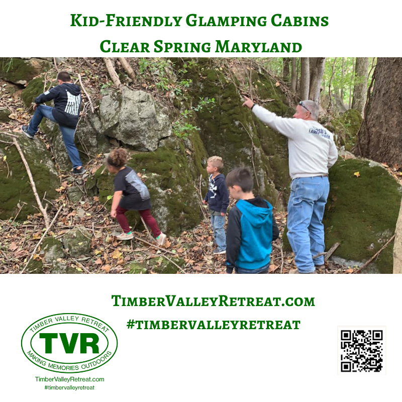 Exploring the "Enchanted Forest"
Many of our younger guests have dubbed our dense, moss-covered woods the "Enchanted Forest." Walking these private trails is a highlight of any stay at Timber Valley Retreat Cabins Western MD. It’s a safe space for kids to practice their navigation skills, identify Maryland trees, and look for "fairy houses" among the moss-covered boulders. It’s nature study made fun!
