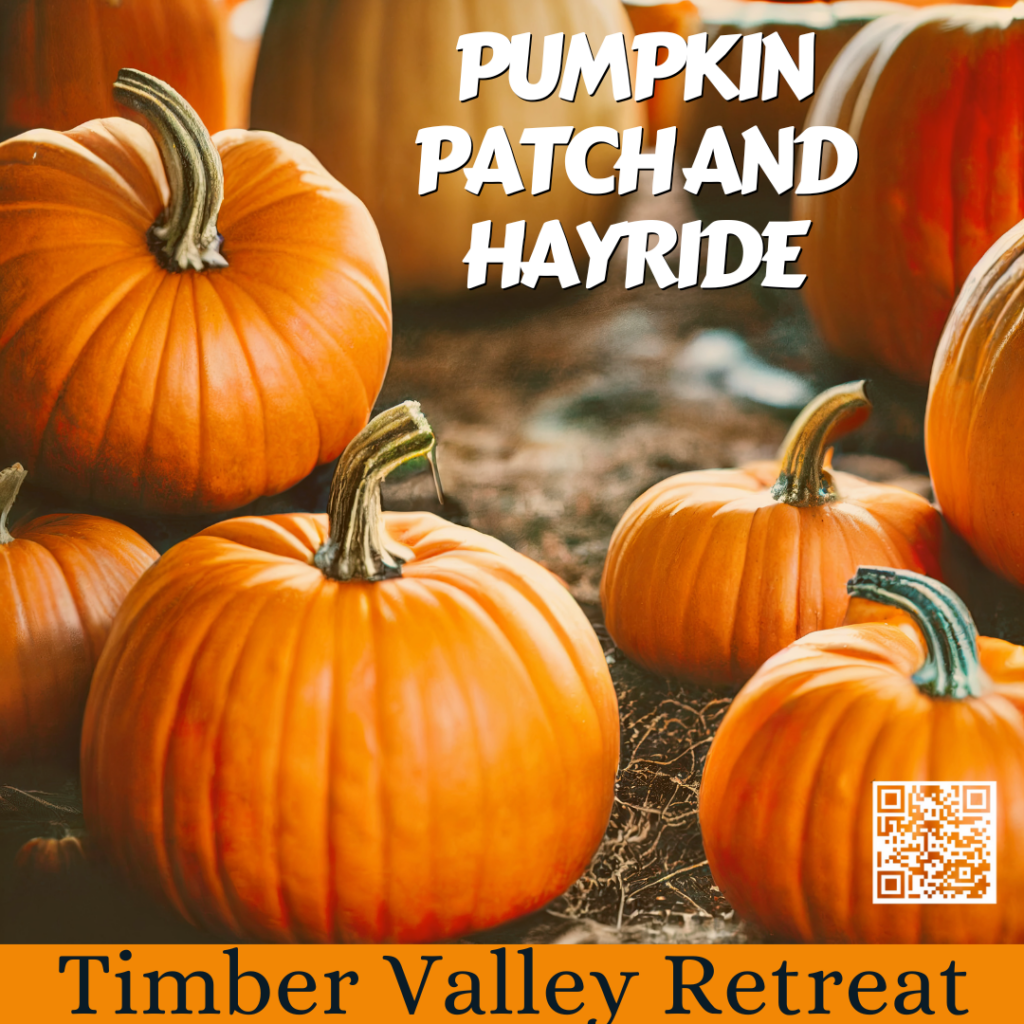 Experience the magic of autumn! 🍂 Discover why Fall Glamping Pumpkin Picking and Timber Valley Retreat Fall Events are the ultimate seasonal escape. 🍎