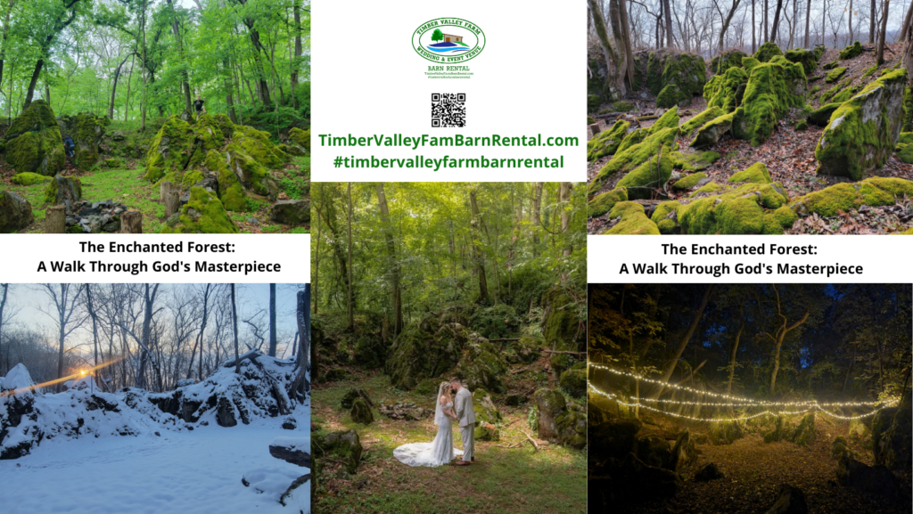 The Beauty of God's Cathedral at The Cove
For your ceremony, we offer several stunning sites, but "God's Cathedral at The Cove" is a favorite. This woodland sanctuary is tucked away among towering hardwoods and ferns, providing a natural, shaded aisle for your walk. It offers a cool, serene retreat even in the height of summer. When your guests arrive via our traditional Wagon Ride, they are immediately struck by the quiet majesty of the woods. It is the perfect natural prelude to the celebration waiting at the barn.