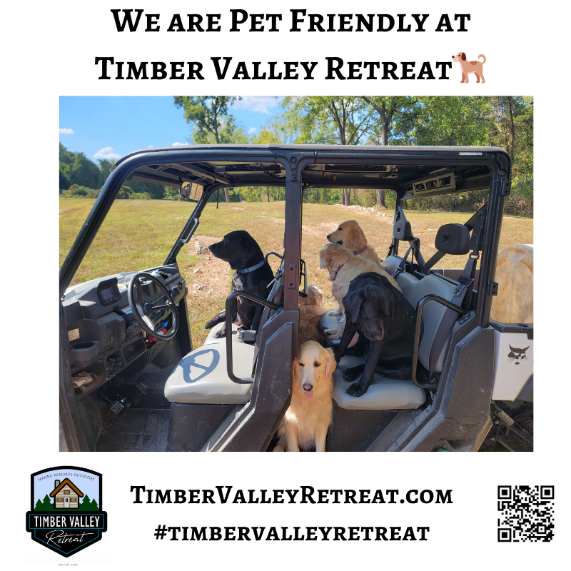 Searching for Pet-Friendly Cabin Rentals Maryland? 🐕‍🦺 Bring your furry friend to Timber Valley Retreat for the ultimate C&O Canal dog friendly lodging adventure! 🌲