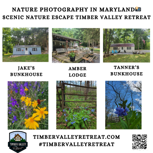 Ready to capture the perfect shot? 🦅 Discover why nature photography in Maryland is best at our scenic nature escape Timber Valley Retreat! 📸