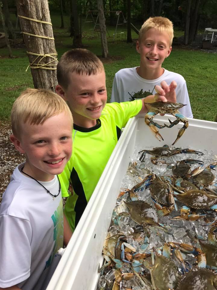 7 Savory Reasons You Must Try Chesapeake Blue Crab Maryland Style!
There is no culinary tradition quite as iconic as the Chesapeake blue crab Maryland feast. It is more than just a meal; it is a seasonal ritual that brings families together around newspaper-covered tables piled high with steamed, seasoned goodness. While many people head to the coast for seafood, savvy travelers know that enjoying Maryland crabs at Timber Valley Retreat offers a unique and peaceful way to experience this tradition. Nestled on 100 acres near DC, VA, PA, and WV, our retreat is the ultimate destination to crack into a dozen (or three) while surrounded by the beauty of nature.