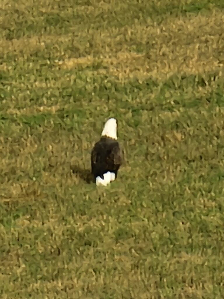 he Heart of Our Hospitality: Karen and Tom Grosh 🤝
What sets us apart from other sites is the personal touch. Karen and Tom Grosh are dedicated to ensuring your stay is phenomenal. From providing local tips to ensuring your cabin is perfectly prepared, having on-site experts makes all the difference.