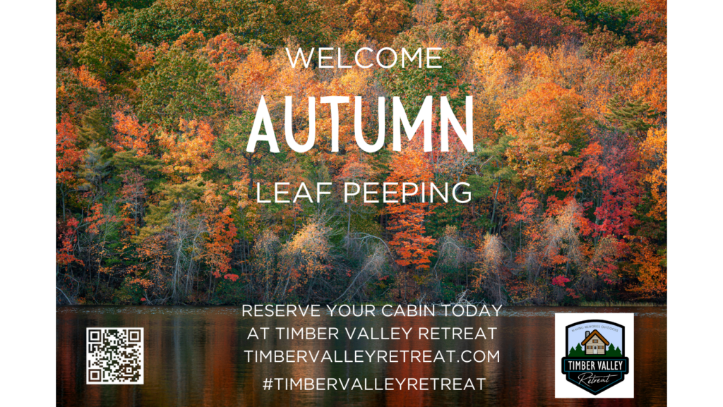 2. Family Hospitality from Karen and Tom Grosh 🤝
We believe in Family Hospitality from Karen and Tom Grosh 🤝. Autumn is a special time on our farm, and we love sharing the harvest season vibes with our guests. We personally ensure the heat is perfectly set in your cabin so that after a day of Western Maryland Leaf Peeping, you have a warm sanctuary to return to. Our commitment to your comfort is reflected in our Airbnb Reviews.