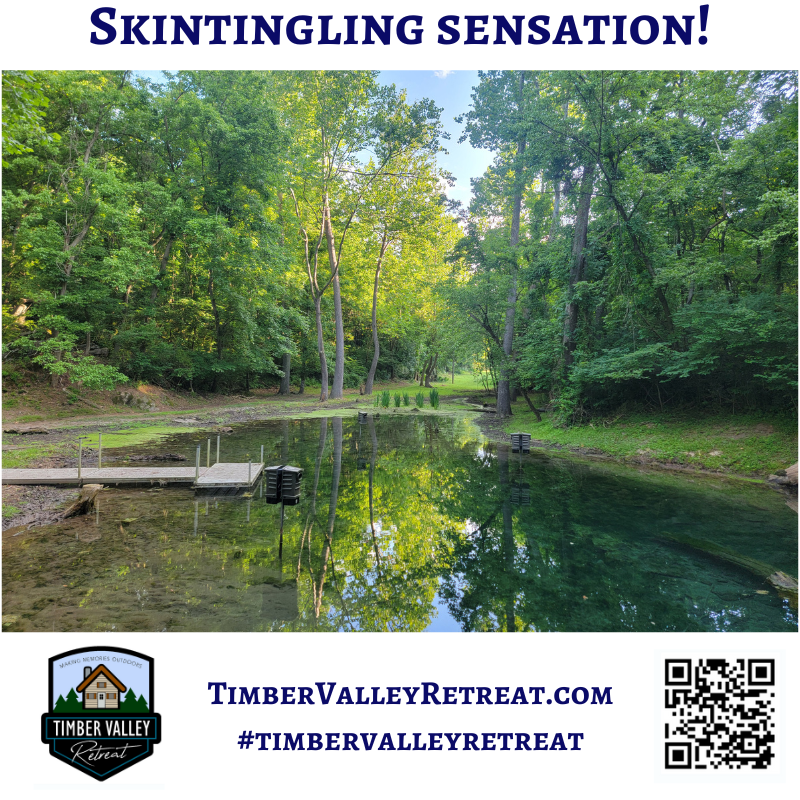 6. Tranquility at the Spring Fed Pond
Our Spring fed pond is a cool oasis on the property. It’s a favorite spot for guests to relax with a book or watch the ripples on the water. It provides a peaceful retreat within a retreat, ensuring you find that mental reset you've been looking for.