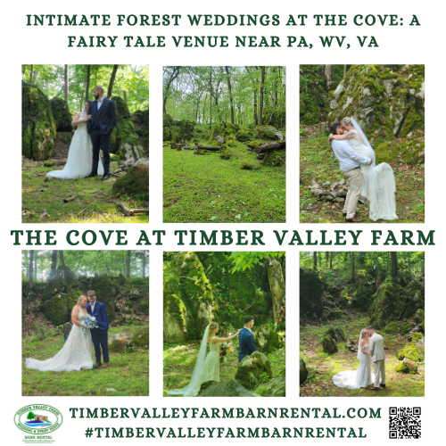 Our Enchanted Moss-Covered Boulders
There’s no better place to tie the knot than surrounded by the natural beauty of the outdoors. Our enchanted moss-covered boulders and infinite fields of green provide the perfect backdrop for your special day. These natural features make our Timber Valley Retreat glamping cabins feel like part of a fairytale forest, perfect for intimate elopements or micro-weddings.