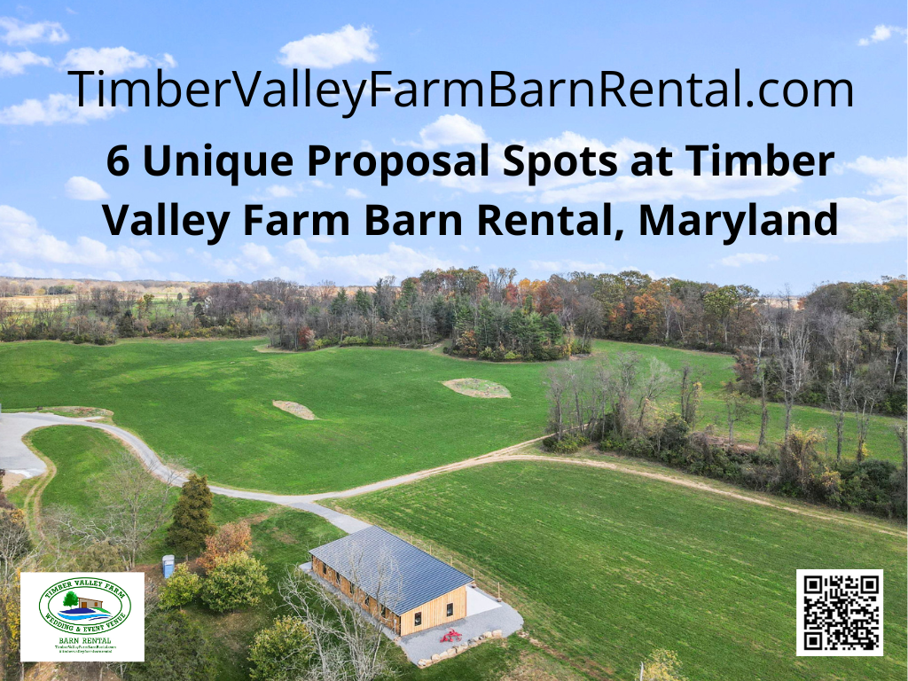 8. The Timber Valley Farm Barn Rental Connection
If thoughts of a wedding are already on your mind, explore our premier venue on the property: Timber Valley Farm Barn Rental. This newly built, 100-acre event space is an official production of Timber Valley Farm Barn Rental and features massive timber-frame architecture that is truly "top-notch" for your future wedding day.