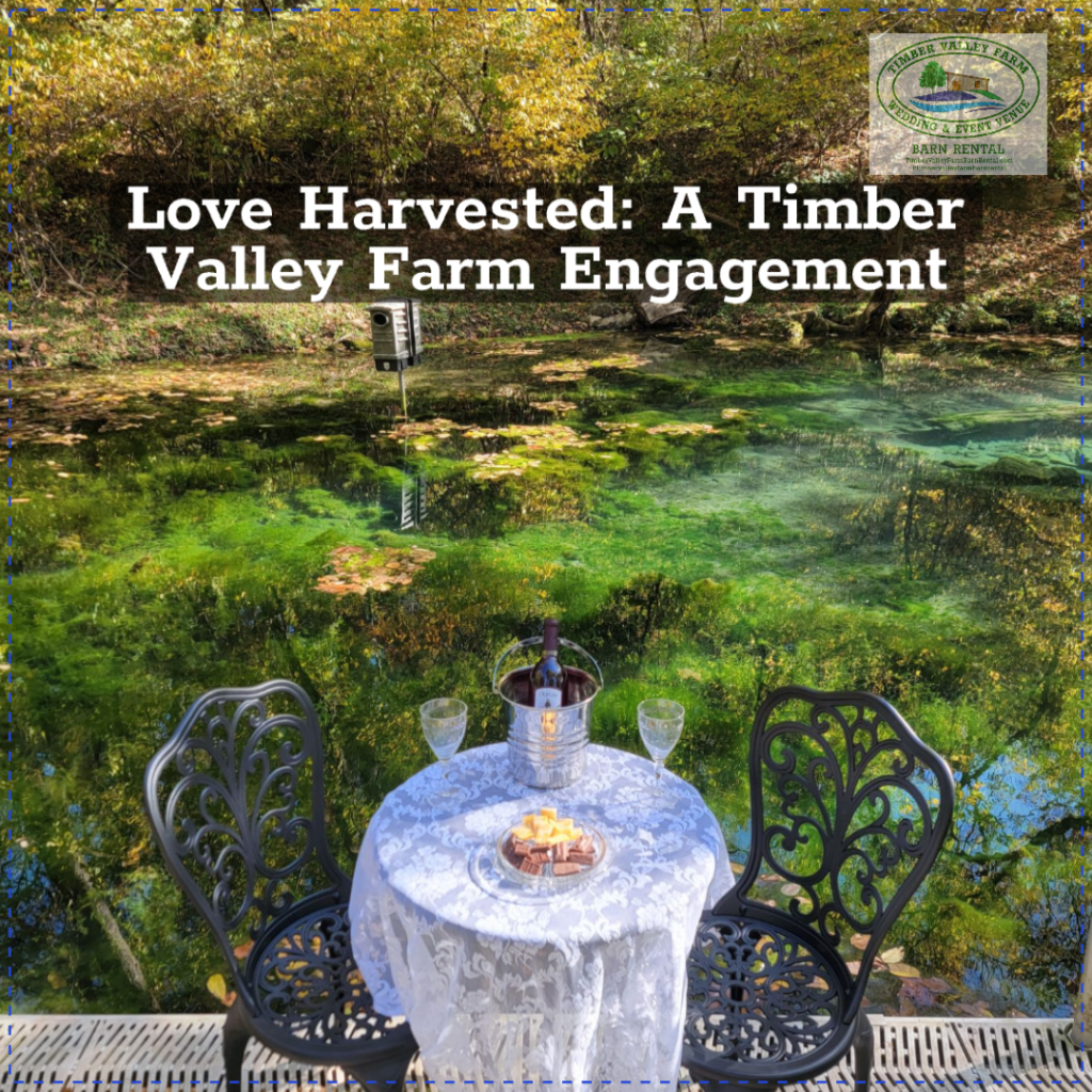 10 Spectacular Secrets to the Perfect Proposal Venue Cabin Campgrounds Nature at Timber Valley Retreat 🌲
Are you in search of an idyllic setting to propose? Do you and your partner share a love for the outdoors? If so, finding a Proposal Venue Cabin Campgrounds Nature allows you to combine the thrill of adventure with the intimacy of a private milestone. At Timber Valley Retreat, we offer a 100-acre sanctuary in Clear Spring, Maryland, that is designed for "once-in-a-lifetime" moments.