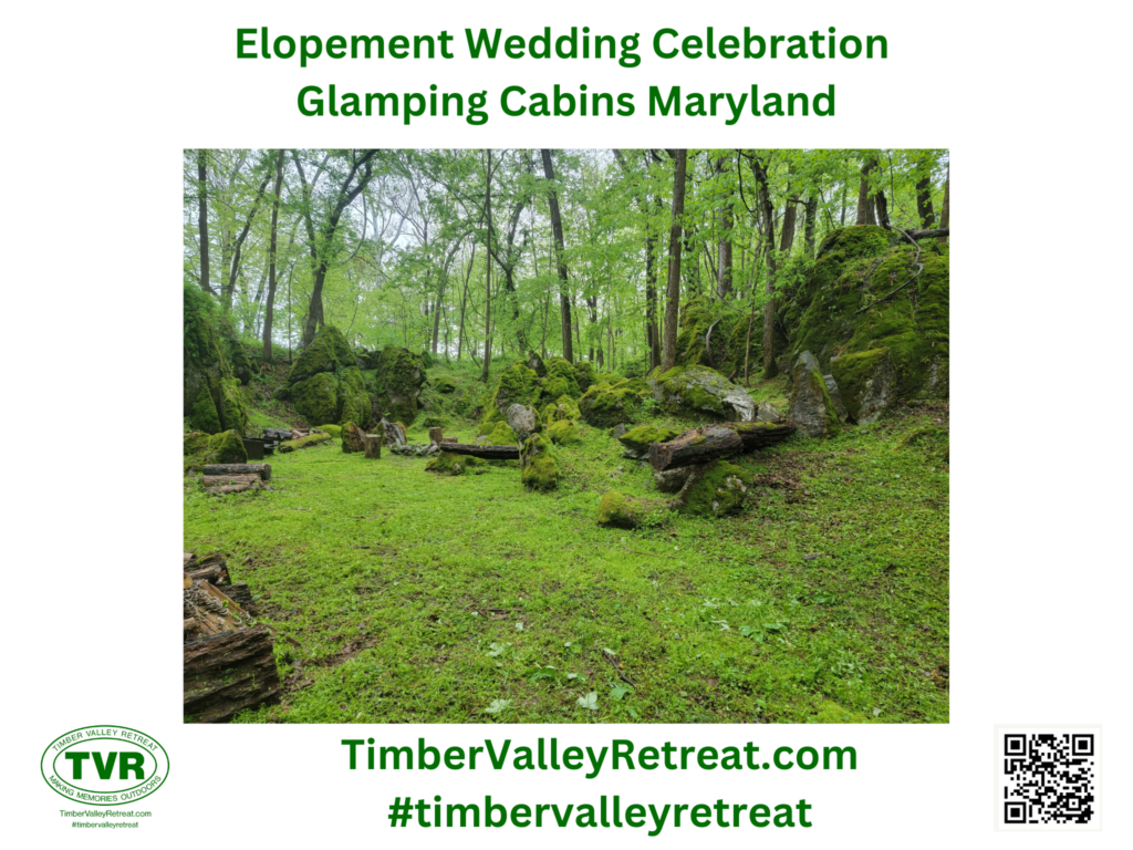 1. The Altar of Moss-Covered Boulders
The most breathtaking feature of our nature-focused venue is our natural altar. Imagine exchanging vows surrounded by ancient, moss-covered boulders that feel like a scene from an enchanted forest. This site provides a built-in "organic" aesthetic that requires no additional decor. Explore these natural sites in our Photo Gallery.