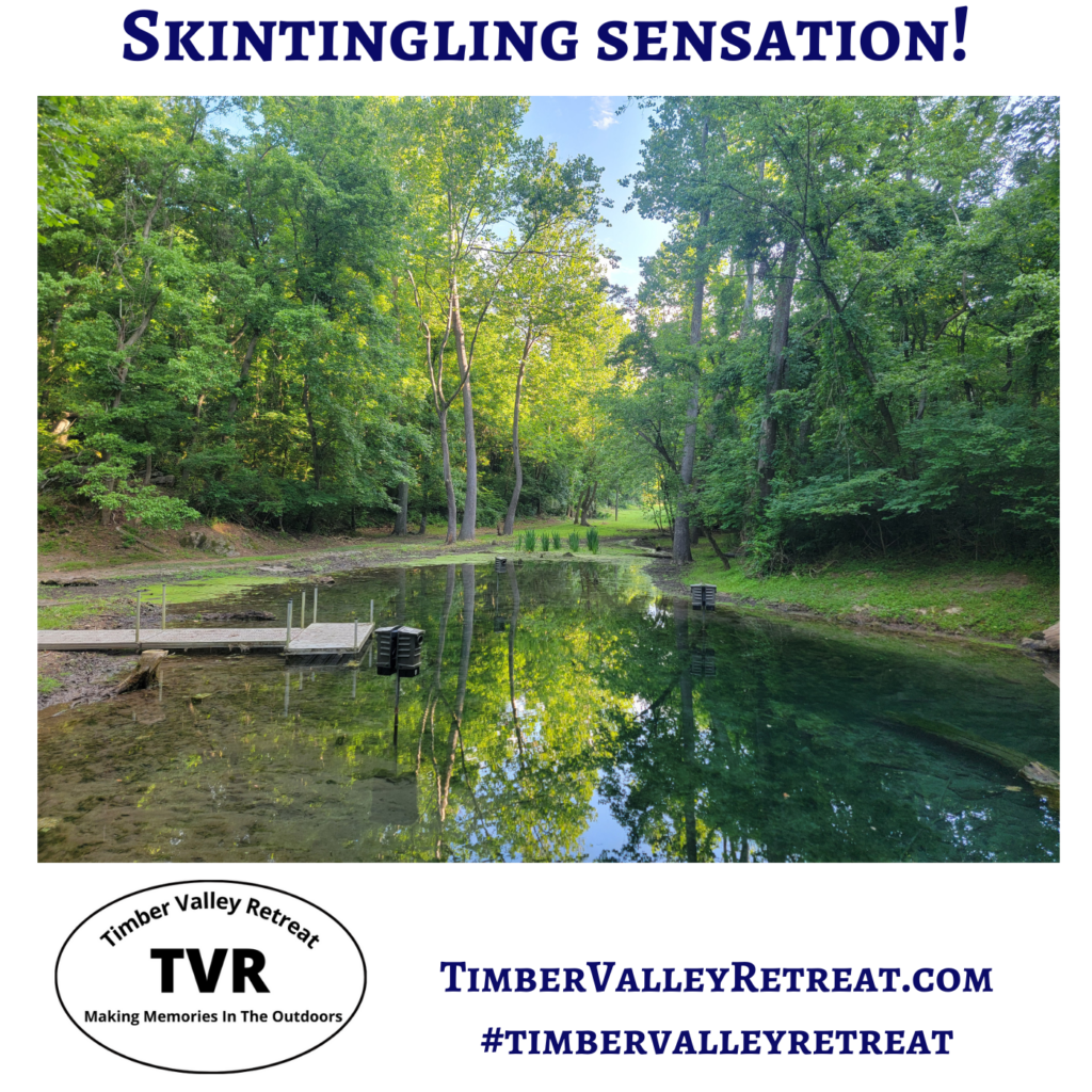 For a magical escape, reach out to the awesome duo Karen and Tom Grosh at Timber Valley Retreat. We pride ourselves on offering a level of exclusivity that you simply won't find at large, commercialized parks. Whether you are planning a family reunion, a scout trip, or a weekend away with your closest friends, our Private Campgrounds Retreat Clear Spring MD provides the perfect backdrop for memories that last a lifetime.