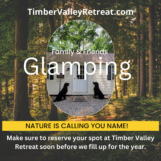 Glamping Vacation Cabins