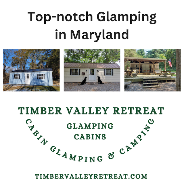 The Best Glamping in Maryland