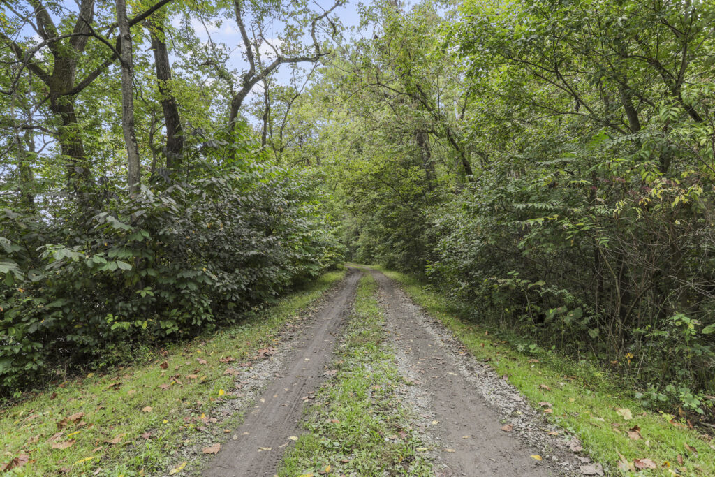 The historic C&O Canal before the leaves turn all the wonderful colors of Fall.