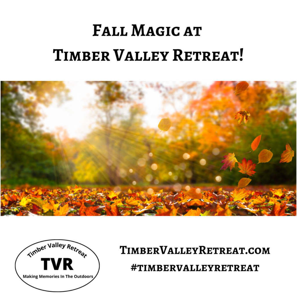 Fall Leaf Peeping Western Maryland: 10 Spectacular Autumn Views Today 🍂✨
The air is getting crisp, and the timber is transforming into a "Booyah!" explosion of gold, orange, and crimson. If you are planning a Fall Leaf Peeping Western Maryland trip, there is no better base camp than Timber Valley Retreat in Clear Spring Maryland. Our 100-acre private sanctuary is an official production of autumn splendor, offering the perfect "Nervous System Reset" amidst the changing leaves.