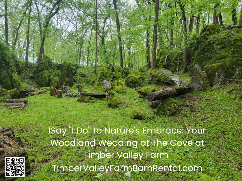 The Magic of a Surprise Engagement in Natureβs Embrace π²β€οΈ
Are you searching for a sensational way to ask the most important question of your life? A surprise engagement at private campgrounds in nature offers a level of intimacy and raw beauty that no five-star hotel can match. At Timber Valley Retreat, located in the heart of Clear Spring, Maryland, we specialize in providing the backdrop for these life-changing moments.