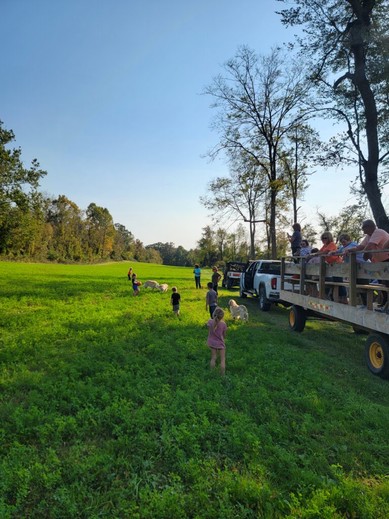 10 Best Ways to Enjoy a Pumpkins Wagon Ride Glamping Cabins Trip! 🎃
The air is crisp, the leaves are turning, and the magic of autumn is in full swing at Timber Valley Retreat! If you are searching for a unique and memorable fall experience in Washington County, our pumpkins wagon ride glamping cabins package is the ultimate way to celebrate the season. Located in the heart of Western Maryland, our glamping Clear Spring Maryland 3-cabin campground offers 15 private acres of pure autumnal bliss. 🍂✨