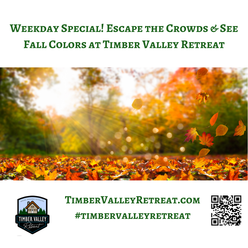 15 Enchanting Reasons to Book a Fall Cabin Retreat Maryland Mountains Today! 🍂
The air is crisp, the scent of woodsmoke is beginning to drift through the valleys, and the vibrant colors of autumn are preparing to paint the hillsides. If you’ve been dreaming of a fall cabin retreat Maryland mountains, there is no better time than now to secure your spot. As the Appalachian landscape transforms into a masterpiece of crimson and gold, Timber Valley Retreat offers a private, front-row seat to the most spectacular show on earth. 🍁🦉