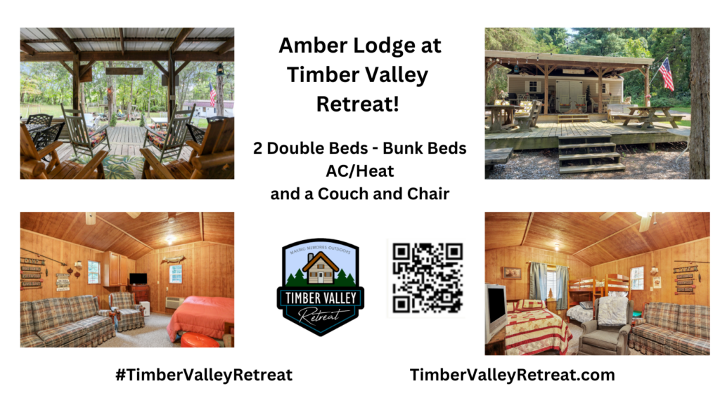 he Accommodations Portfolio:

Your Family Will Love a Restful Stay at Amber Lodge

Amber Lodge is the ultimate home base for families who want to experience the great outdoors without the stress of a tent. This is a spacious, climate-controlled sanctuary designed to keep both kids and parents happy and comfortable alike.