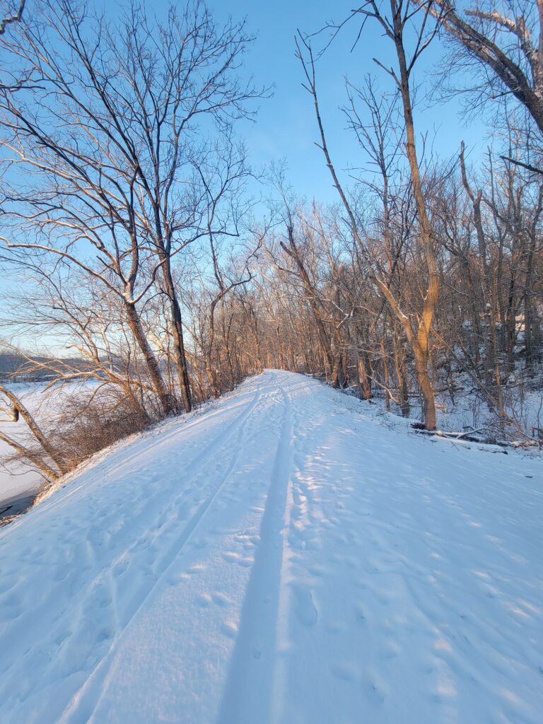 Stewardship: An Official Production of Conservation
At Timber Valley Retreat, we believe that the Winter Solstice is a reminder of our responsibility to the land. Our management of this Cabin Retreat Maryland is an official production of Timber Valley Farm Barn Rental’s commitment to stewardship. During the winter months, we perform heavy tree removal and maintenance to ensure the health of the timber.