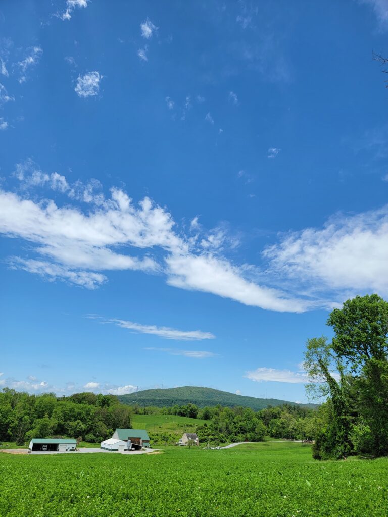9. High-Oxygen Vitality for the Big Day
Breathe deep! The high-oxygen air in our 100-acre forest is a natural vitality booster. It ensures the bridal party feels sensational and positive. This is an official production of health at our Elopement Venue Western Maryland farm.