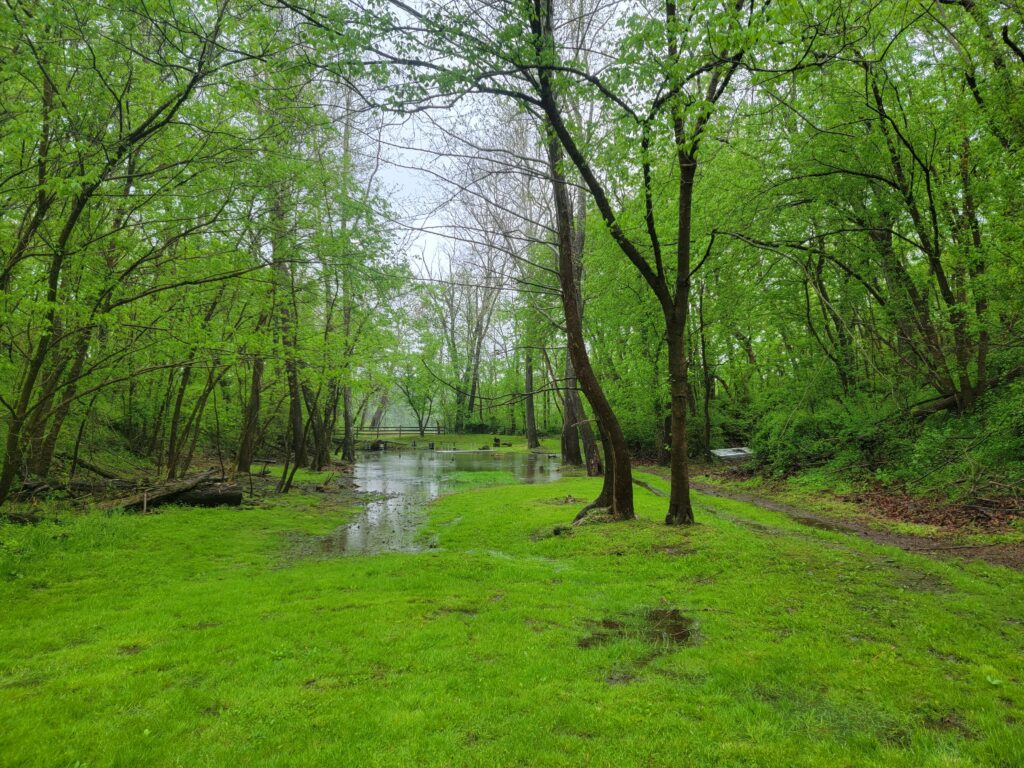 6. The “Fountain of Life” Ceremony Backdrop
Imagine exchanging vows by our spring-fed pond. The “Fountain of Life” acts as a monumental, positive symbol for your new beginning. It is a sensational feature of our Private Glamping Retreat that guests will talk about for years.