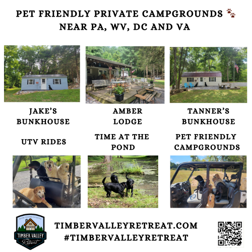 8. Pet-Friendly Paradise: Bring the Whole Pack 🐾
We believe a retreat isn’t complete without your furry friends. Our Clear Spring Maryland property is proudly pet-friendly. With 10 gated acres of woods to explore, your dog will enjoy the Cabin Glamping experience just as much as you do!