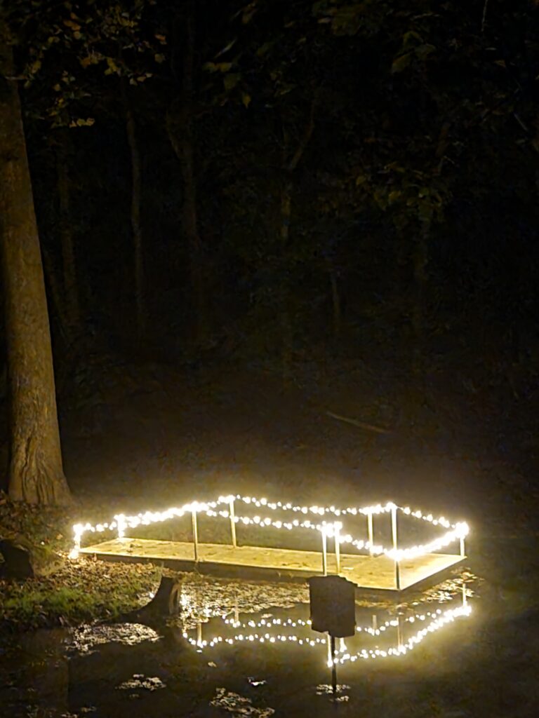 2. Proposing Under a Canopy of Starlight 🌌
Clear Spring, Maryland, offers a clarity of sky that you simply cannot find near the city. Imagine leading your partner out to the edge of the pond after dinner. The reflection of the Milky Way dances on the water’s surface. As you drop to one knee under a blanket of “Starlight & Promises,” the universe feels like it’s standing still just for you at our scenic proposal locations in Maryland.