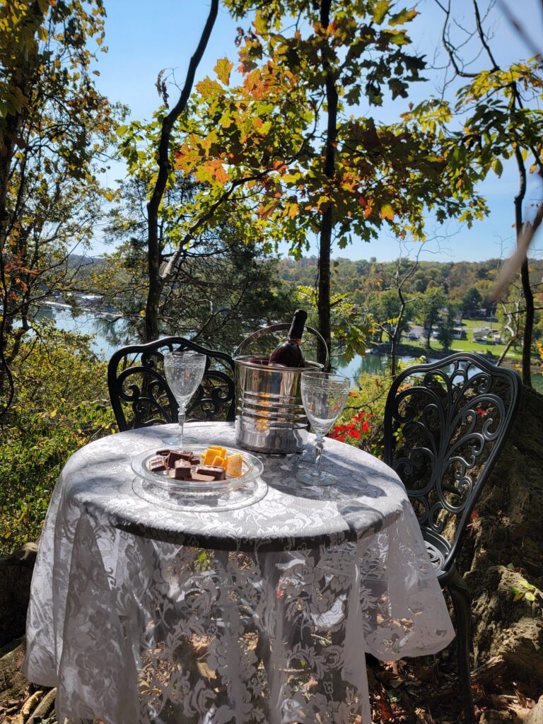 Capture the Moment with Professional Flair
One of the greatest advantages of proposing at Timber Valley Retreat is the aesthetic. Whether you hire a professional photographer to hide in the brush or use a tripod for a private session, the natural light filtering through the hardwoods provides a soft, romantic glow. 📸🌲