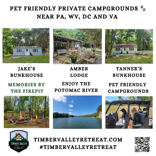 6. A Truly Pet-Friendly and Kid-Friendly Environment 🐕🧒
A family trip isn’t a family trip if someone has to stay behind. We believe everyone should enjoy the outdoors. Our Ultimate Group Getaway is fully pet-friendly and kid-friendly.

The Playground: Located centrally so parents can supervise from the comfort of the pavilion.
Pet Freedom: With no other guests on-site, your furry friends can enjoy the Outdoor Escape without the anxiety of strange dogs or crowded spaces. We simply ask for a small additional fee to ensure our cabins stay pristine for the next guests. 🐾