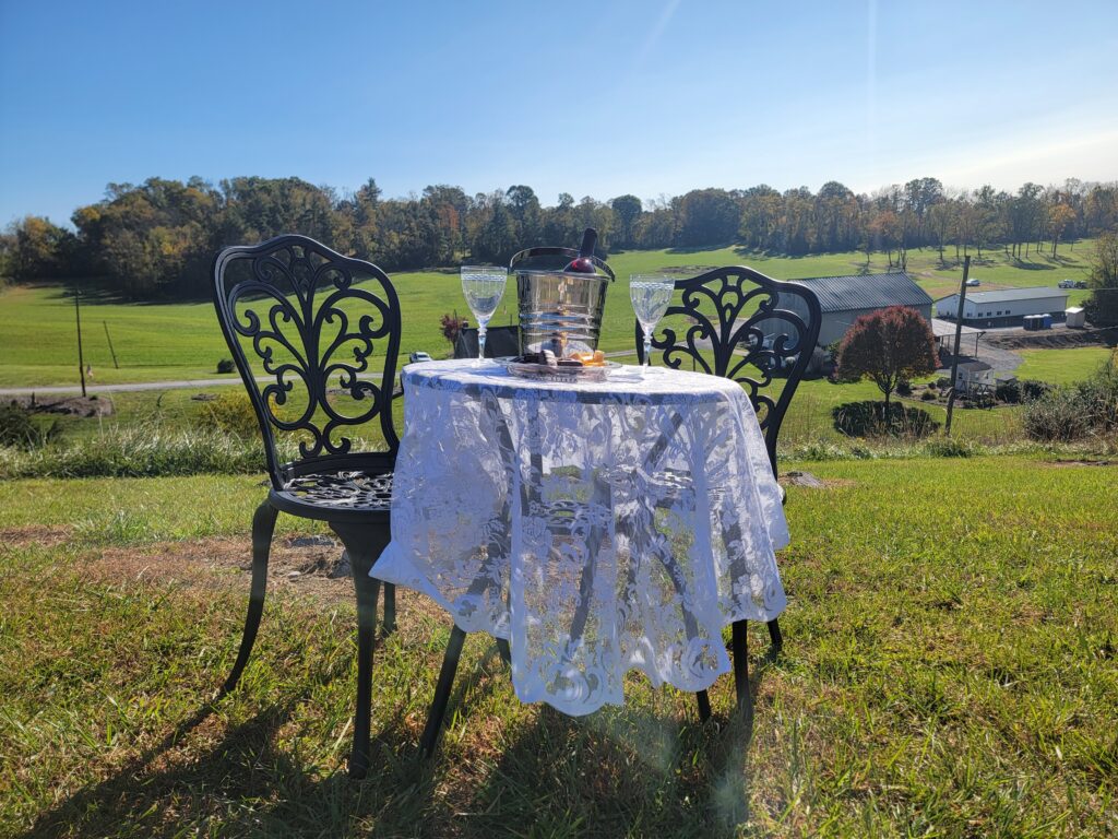 5. Stunning Engagement Photos in Nature 📸🌸
Capture your joy against our picturesque surroundings. A Glamping Proposal provides endless beautiful backdrops for your first photos as an engaged couple. From the rustic charm of Tanner’s Bunkhouse to the elegant porch of Amber Lodge, your Romantic Engagement photos will be a source of pride for years to come. High-quality photography in natural light is a hallmark of the Timber Valley experience. 🤳✨