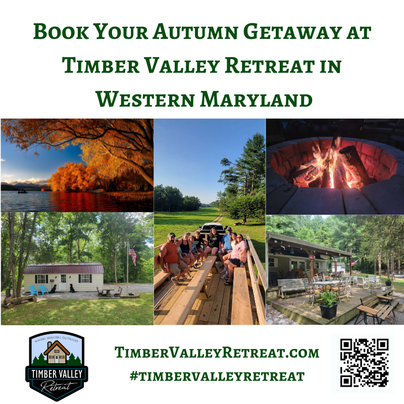 A stunning aerial view of the vibrant fall foliage surrounding the private cabins during an autumn getaway at Timber Valley Retreat in Maryland.