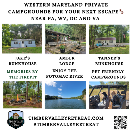 We at Timber Valley Retreat are incredibly excited to be the destination of choice for your company’s employee recognition program! It’s an honor to play a part in celebrating and rewarding hard work, and we’re thrilled to be welcoming your top performers for a well-deserved weekend getaway.

When a company chooses to reward their team with an experience rather than a physical gift, it speaks volumes. It shows they value well-being and understand the importance of rest and rejuvenation. A stay at Timber Valley Retreat is more than just a bonus; it’s an opportunity to truly disconnect from the daily grind and reconnect with nature. An employee incentive like this builds loyalty that lasts far longer than a standard cash bonus.