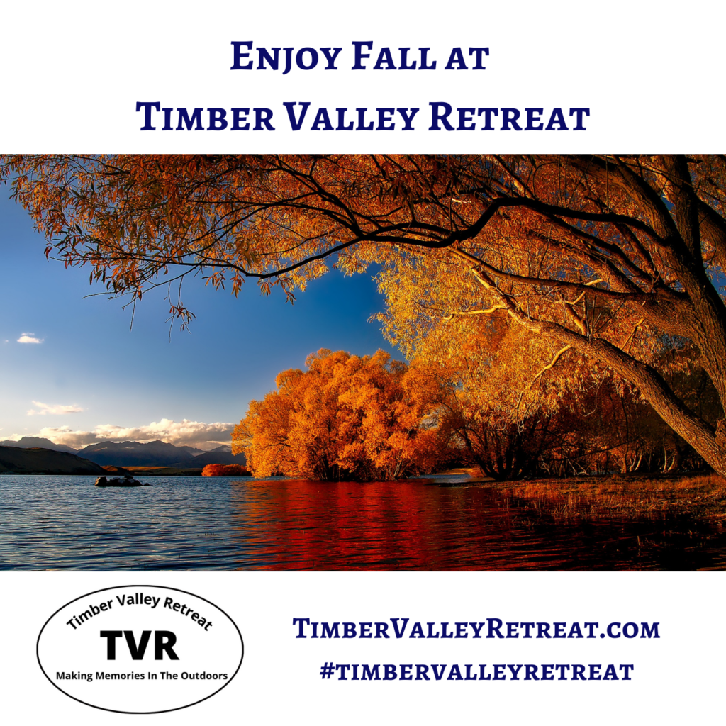 3. Exploring the Potomac River in Autumn
The nearby Potomac River offers a stunning backdrop for outdoor adventure. Whether you are biking the C&O Canal National Historical Park or checking the Maryland DNR for late-season fishing, the river is a vital part of any Western Maryland fall getaway. These external Timber Valley Retreat excursions allow you to see the best of Washington County, Maryland.