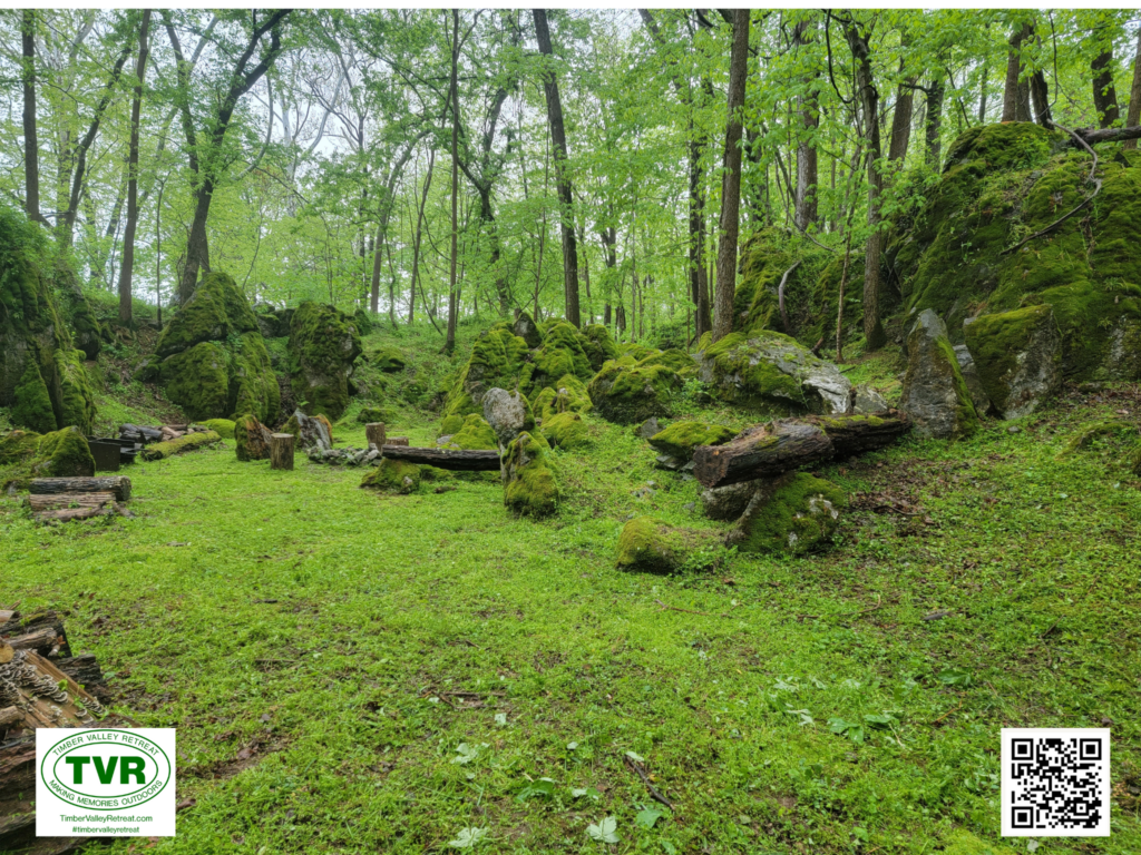 Reconnecting with God’s Creation 🌳
At Timber Valley Retreat, we believe that the outdoors is God’s classroom. Private glamping in Maryland provides the perfect environment to study what we call the “Book of Nature.” As you walk the trails near the C&O Canal or sit by our spring-fed pond, you are surrounded by the handiwork of the Creator. 📖✨