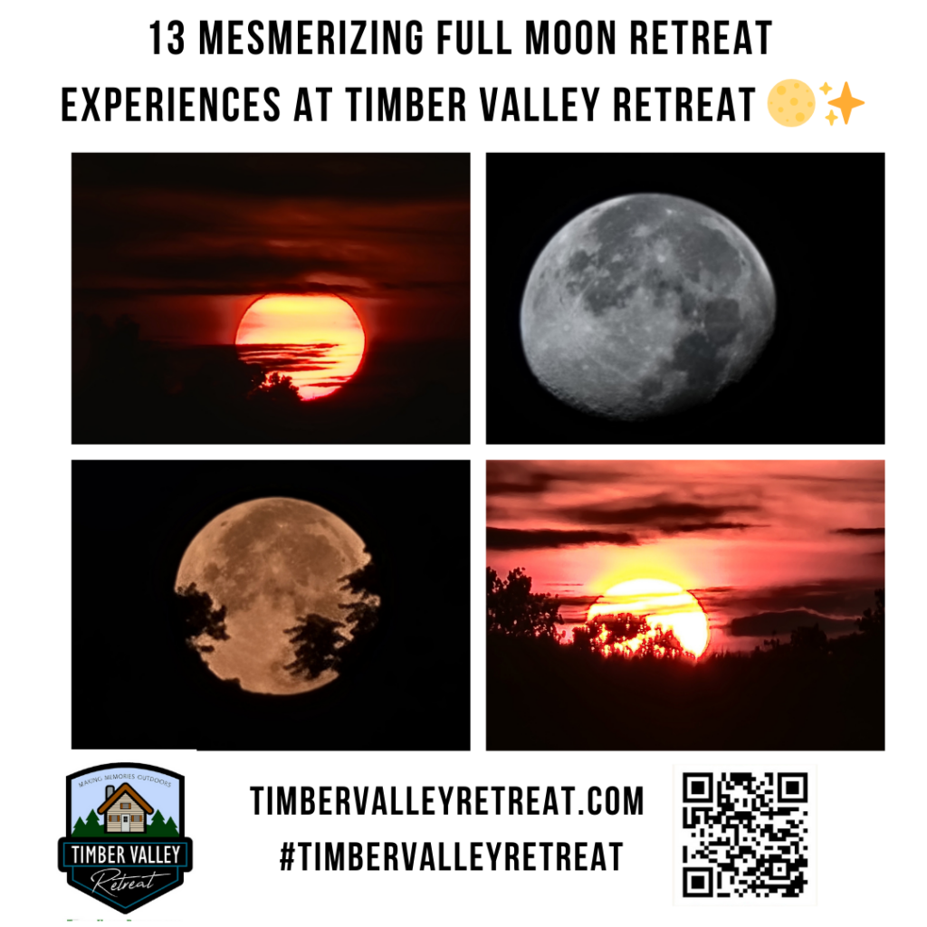 A bright full moon illuminating the 100-acre landscape of Timber Valley Retreat.