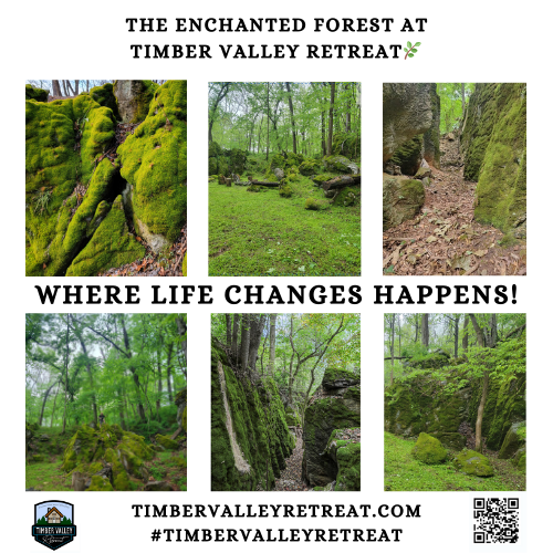 The Gateway to Serenity: Enchanted Forest at The Cove
The moment you drive onto the property, the world changes. The Enchanted Forest at The Cove is not just a destination; it is a sensory immersion. Here, the air is cooler, the colors are more vibrant, and the silence is profound. When we designed the Timber Valley Retreat Cabins, our goal was to create a harmonious blend of luxury and raw nature. We wanted our guests to feel the majesty of the forest from the comfort of a plush, well-appointed cabin.