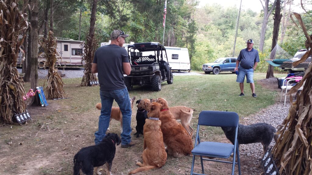 12 Heartwarming Ways to Honor Our Legacy Through Your Dog Photos 🐾
At Timber Valley Retreat, our love for dogs isn't just a policy—it is our history. Many of our guests don't realize that our Accommodations Portfolio is a tribute to the four-legged family members who first called this valley home. Amber Lodge, Tanner’s Bunkhouse, and Jake’s Bunkhouse are all named in loving memory of our own beloved dogs who have passed. By sharing your photos, you aren't just showing off a cute pup; you are helping us keep the spirit of our original valley dogs alive. We want to see your dogs enjoying the same trails, the same spring-fed pond, and the same restful greenery that Amber, Tanner, and Jake loved so much.