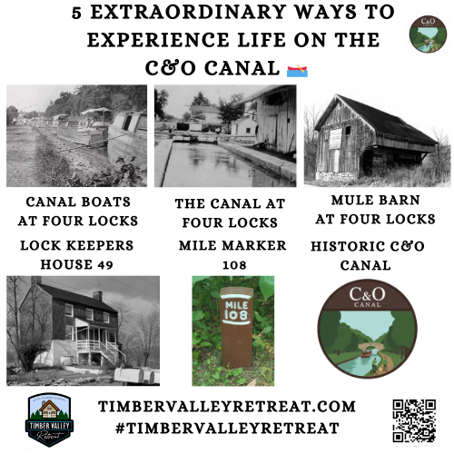 5 Extraordinary Ways to Experience Life on the C&O Canal 🛶
The story of the Chesapeake and Ohio Canal is not just one of stone and water; it is a narrative of human ambition, grit, and the enduring beauty of the Potomac River Valley. Stretching 184.5 miles from the bustling streets of Georgetown to the mountain vistas of Cumberland, Life on the C&O Canal offers a unique window into the past while providing a sanctuary for modern adventurers. Whether you are walking the towpath near Timber Valley Retreat or exploring the historic ruins of a bypass flume, the canal invites you to slow down and appreciate a different pace of life. 🌸