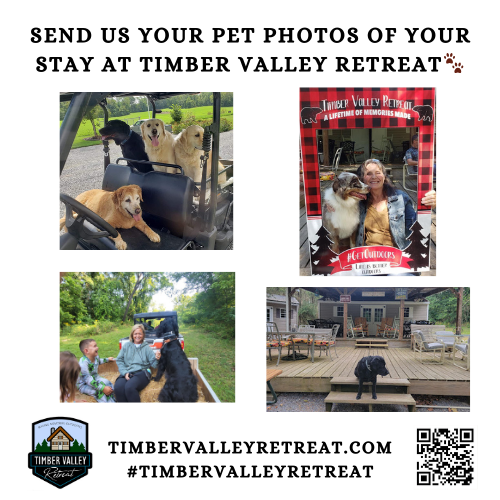 6. A Pet-Friendly Haven Like No Other 🐾
We believe that no vacation is complete without your four-legged family members. The Cabins at Timber Valley are proudly pet-friendly. With 100 acres of farm to explore, your dogs will have the time of their lives. From trailing along on UTV rides to exploring the scents of the Maryland countryside, we make sure your pets feel just as welcome as you do.