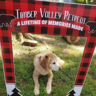 The Story of Our Namesakes: Amber, Tanner, and Jake 🌈
Every corner of this retreat holds a memory. When we built the Amber Lodge, we wanted it to reflect Amber’s nurturing and spacious spirit—a true sanctuary for families. Tanner’s Bunkhouse was inspired by Tanner’s love for a "pack" atmosphere, where friends and family gather to reconnect. Jake’s Bunkhouse represents the adventurous soul, perfect for those who want to jump straight into nature without the stress of "roughing it." When you stay here, you are walking the same green paths they did.