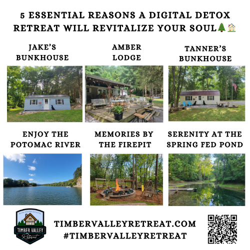 5 Essential Reasons a Digital Detox Retreat Will Revitalize Your Soul
In our fast-paced, hyper-connected world, the constant noise of digital life can feel overwhelming. We are tethered to our devices, reacting to notifications at all hours of the day. But what if you could press "pause"? At Timber Valley Retreat, we believe that a digital detox retreat is not just a trend—it is a vital practice for maintaining your mental, emotional, and physical health. Nestled on our 100-acre farm in Washington County, Maryland, we provide the perfect backdrop for you to unplug and rediscover the beauty of the natural world.