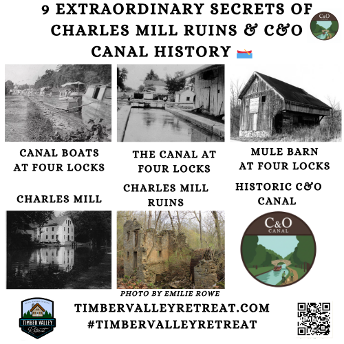 Exploring the deep history of Washington County is a breathtaking experience, especially when you are just steps away from the Potomac River. The historic Charles Mill ruins, precisely located at Mile 108.13 of the C&O Canal, offer a stunning glimpse into Maryland’s industrial past. These stone walls tell a story of grit, commerce, and the relentless flow of time. Today, we are sharing 9 extraordinary secrets about this sanctuary. 🌿✨