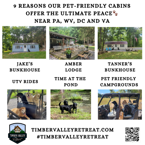 9 Reasons Our Pet-Friendly Cabins Offer the Ultimate Peace 🐾
Finding a sanctuary that welcomes your entire family—furry members included—is essential for true relaxation. At Timber Valley Retreat, we specialize in providing pet-friendly cabins where you don't have to leave your best friend behind. Nestled in the heart of Clear Spring, Maryland, our private retreat is strategically located near PA, DC, WV, and VA, making it the perfect weekend getaway for those seeking seclusion without the long drive.