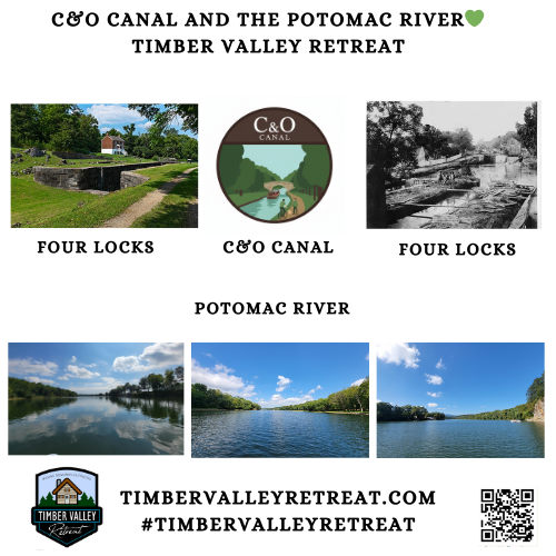 3. Step Into History: C&O Canal and the Potomac River 🛶
When you stay at a Cabin Rental Clear Spring MD, you want access to the water. We are proud to be located just a 3-minute walk from Mile Marker 108 of the historic C&O Canal National Historical Park.

The C&O Canal is a treasure trove for history buffs and athletes alike. You can spend your morning biking the towpath, birdwatching for bald eagles, or hiking through what we fondly call the "Enchanted Forest." Just beyond the canal lies the mighty Potomac River. Whether you enjoy kayaking, fishing for smallmouth bass, or simply sitting on the banks and watching the water flow toward the Chesapeake, the river provides a peaceful backdrop that you won't find at a standard hotel. 🦅